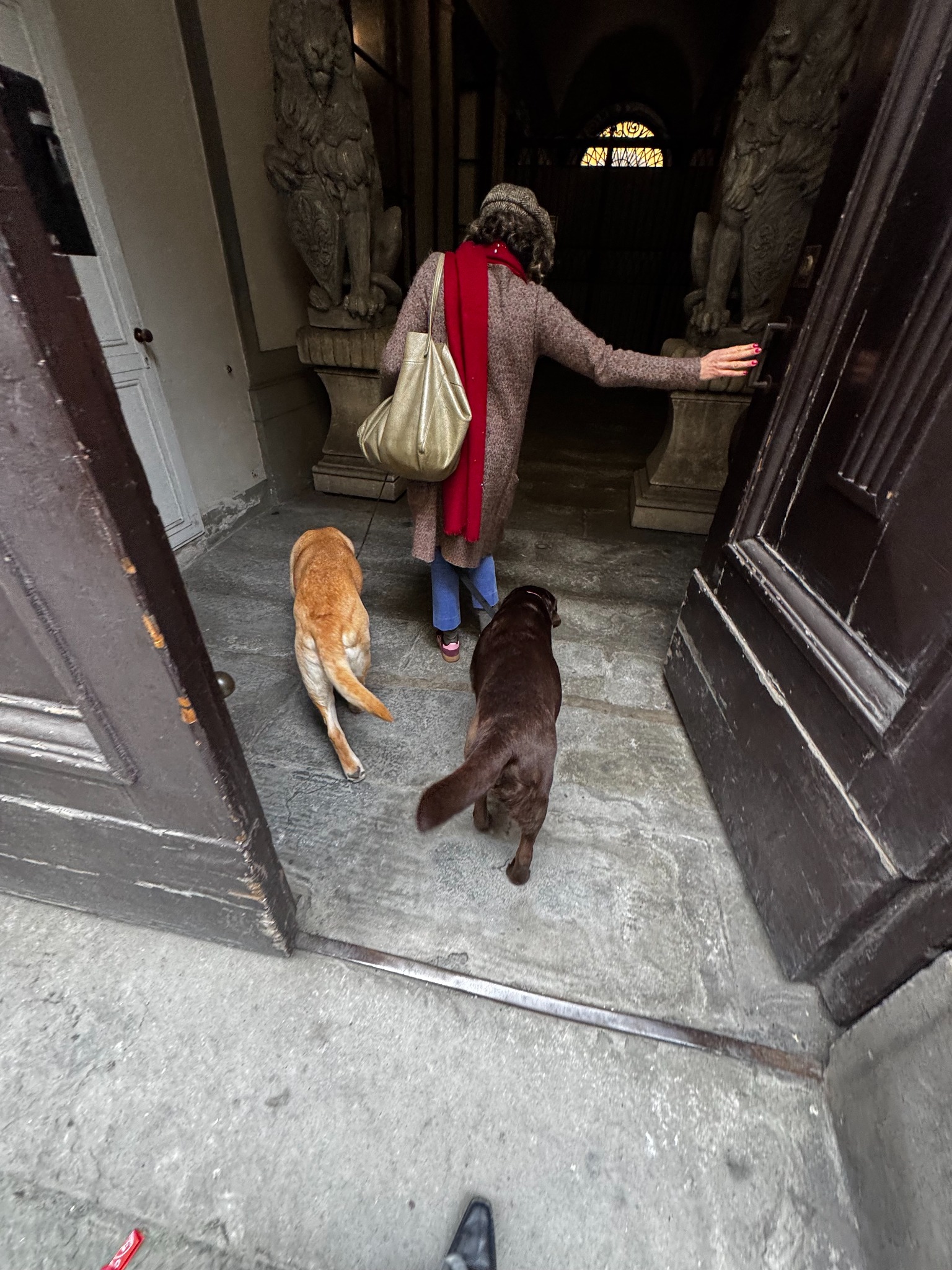 Entering Frilli Gallery with the gallery dogs
